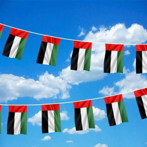 UAE String Flags and Flag Bunting